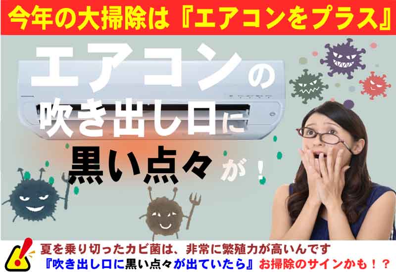 今年の大掃除はエアコンをプ 0839b9cf73ca1cf11749d306defd14da