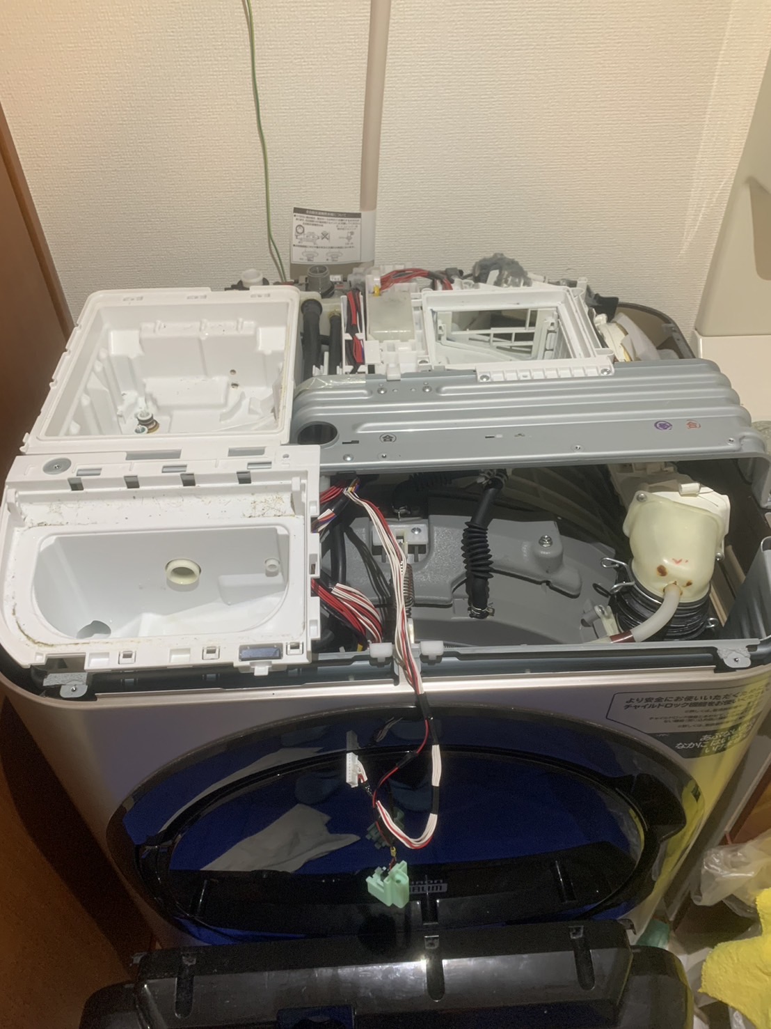 せーかだよー様 専用ドラム式洗濯乾燥機(2020年製)ビックドラム
